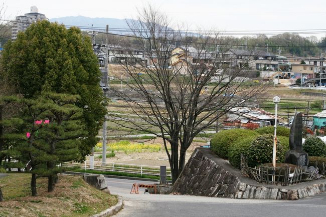 2010春、落花の長久手古戦場(2):4月9日(2):ソメイヨシノ、紅枝垂れ桜、ヤマザクラ、『小牧・長久手の戦い』の武将紹介、長久手の棒の碑