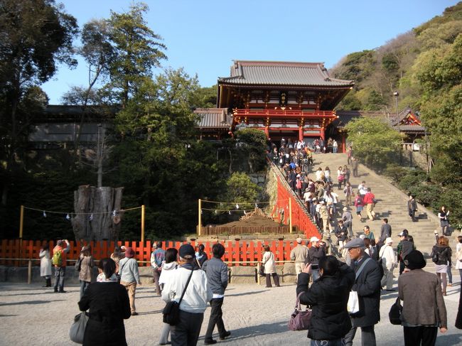 大銀杏前が人だかり。