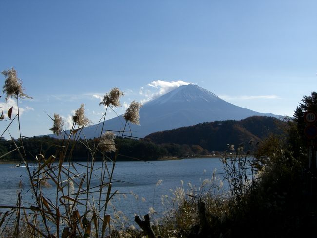 富士山がよく見えます。