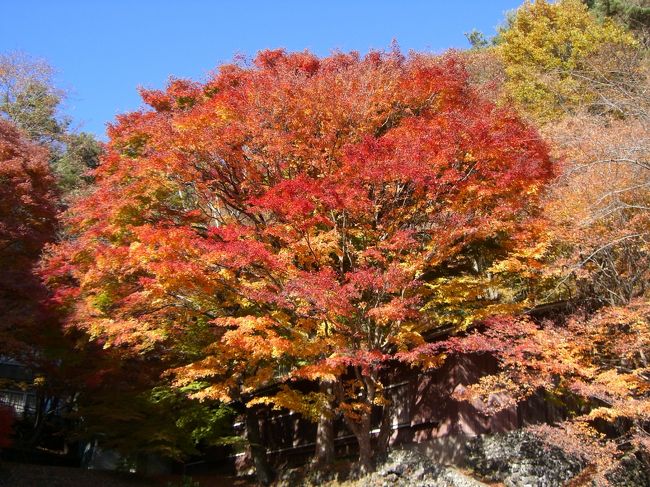 色のグラデーションがきれいです。