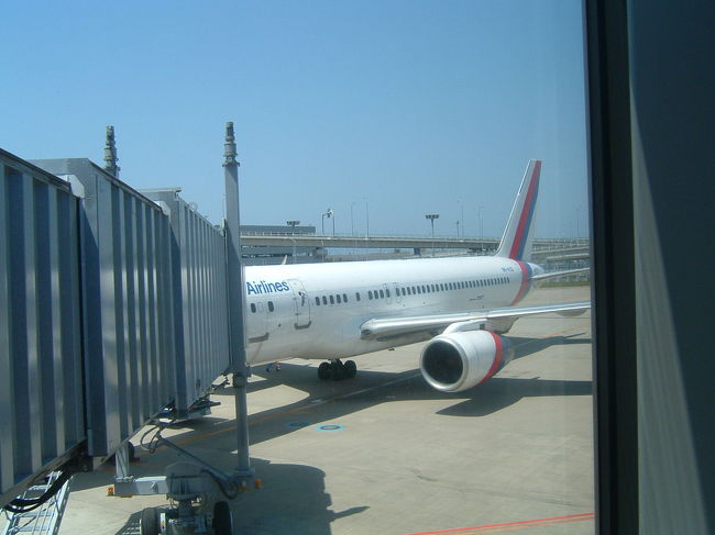 これでいくどー。その名も、ロイヤルネパールエアライン、略号ＲＡだ。ちっさいどー。