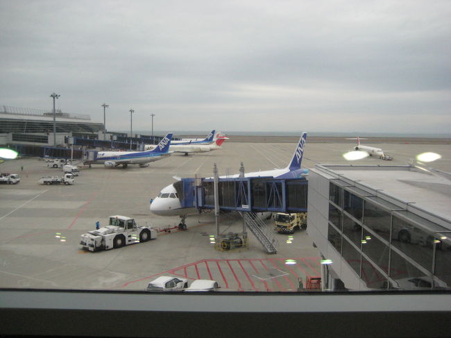 朝４時に起き、５時台の空港行き高速バスに乗り、<br />６時半にはセントレアに到着。<br />まずは国内線でセントレアから成田空港へ向かいます。<br /><br />国内線、国際線一緒にチェックインを済ませ、<br />海外用携帯電話をレンタルし、<br />早めに国内線搭乗ゲートへ行きました。<br />セントレアの国内線は初めて利用しましたが、<br />こじんまりしてますね〜。<br /><br />７：５０発のＡＮＡ３３８便に乗り、８：５５成田到着。<br />久しぶりにタラップを降り、<br />バスに乗って到着ゲートへ移動しました。