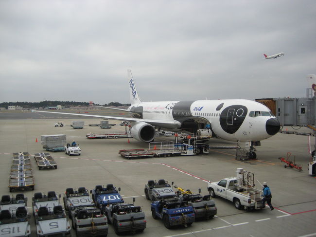 国内線到着ゲートから国際線乗継専用施設へ進み、<br />手荷物検査、出国審査を受けました。<br />それほど人が多くなく、<br />全く並ばずに済んだのですごく楽でした♪<br /><br />免税店をのぞきつつ、搭乗ゲートへ向かいました。<br />途中で見かけたパンダジェット★何だかかわいい☆<br />