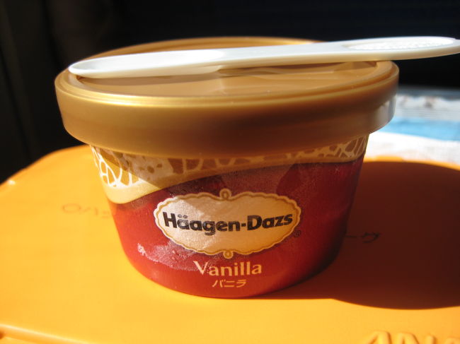 さらに食後にはハーゲンダッツのバニラアイスクリームも！<br />かなりのボリューム！！<br />とても完食は無理でした。。。