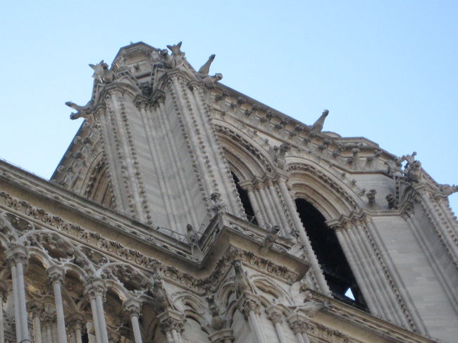 ミュージアムパスで塔に上れますが、<br />１０時半時点ですごい行列！！<br />螺旋階段は凱旋門で懲りたので、<br />上るのは諦めました。<br /><br />ガルグイユを間近で見たかったな〜。