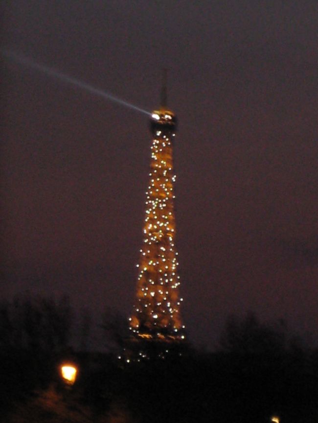 チュイルリー公園から<br />エッフェル塔のシャンパンフラッシュが見えました。<br />きれ〜い！！