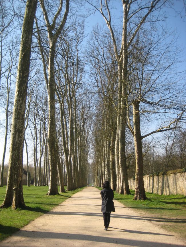 庭園をフラフラ歩きつつ、トリアノン方面へ向かいます。<br /><br />大噴水祭の日に宮殿からトリアノンへ行くには、<br />チケットを購入して庭園を通って行くか、<br />一度宮殿の外に出て、庭園を迂回していく方法があります。<br /><br />プチトランは庭園の入場チケットを買わないと<br />乗れなさそうでした。