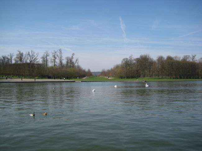 白鳥や鴨のいる大運河を眺めながらのご飯は最高☆☆