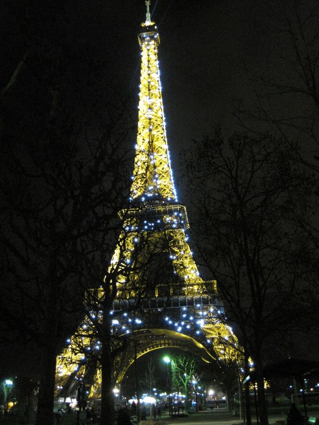 動画で撮ればよかった！！