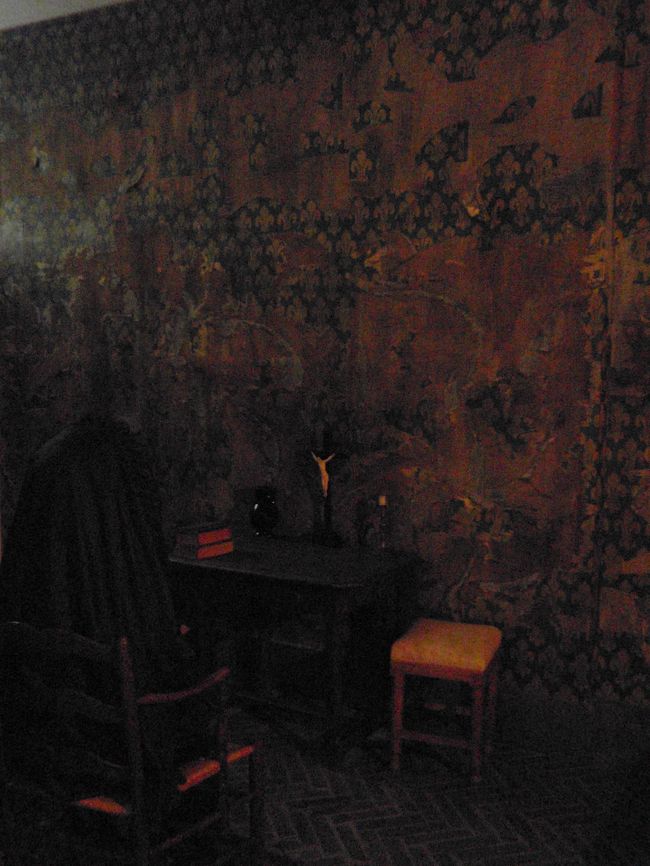 中はかなりリアルで友人と来て正解でした。<br /><br /><br />こちらはアントワネットの部屋です。<br /><br />処刑された後に王族の紋章入りの壁紙が民衆によってはがされたんでしょうか。<br /><br />それとも展示用に演出？？