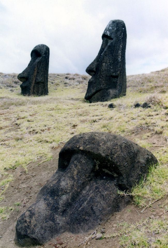RAPA NUI（イースター島）物語 Part.3 ＜モアイの森へ