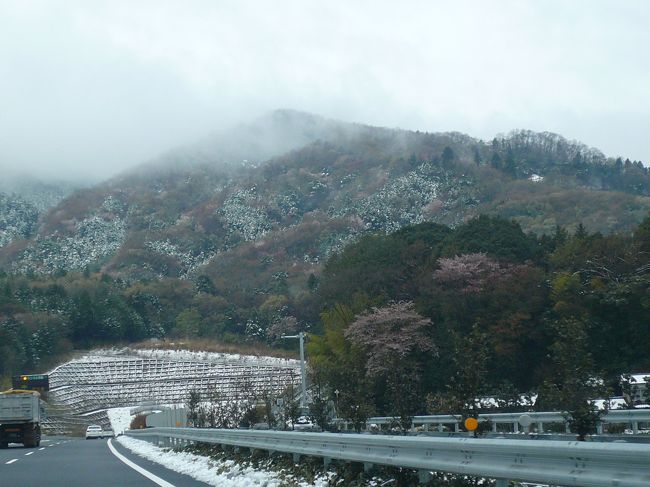 今年も三春の滝桜を見に行こうと休みをとり、宿もおさえてこの日を楽しみにしていました。<br /><br />が、朝起きてみたら雪が降っており、しかも積ってる…。<br /><br />道路交通情報によると常磐道、東北道、磐越道のどこかしらが通行止めになっていて無理そう…。<br /><br />北関東道の通行止めが解除されたのでまずは那須へ向かうことにしました。