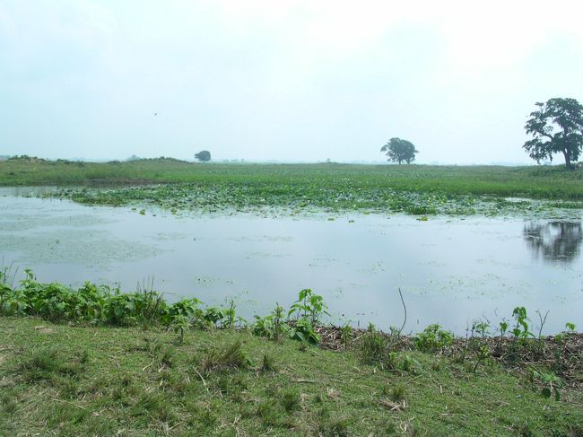 バイラワから、ルンビニまでは、周辺の仏教遺跡も見て回りたかったので、タクシーで移動しました。<br /><br />ここは、ニグリサーガルという大きな池のあるところ。