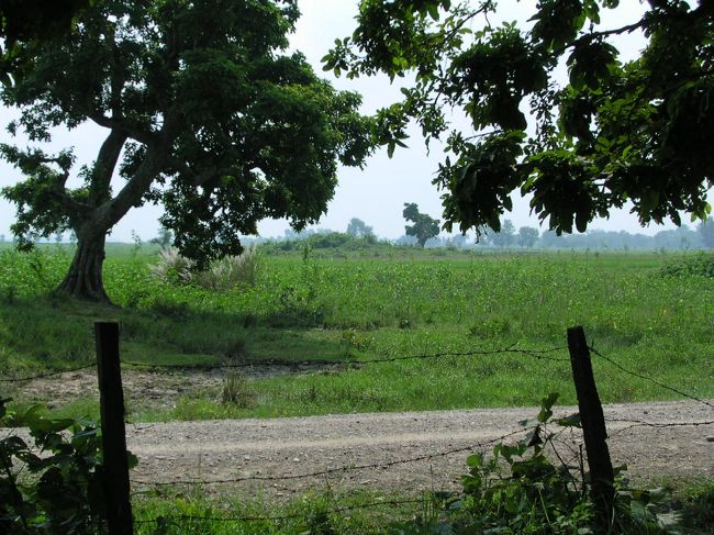 城壁ではなく、今は柵で覆われている門の向こうには王子の愛馬を埋めたとされる塚が見えていました。