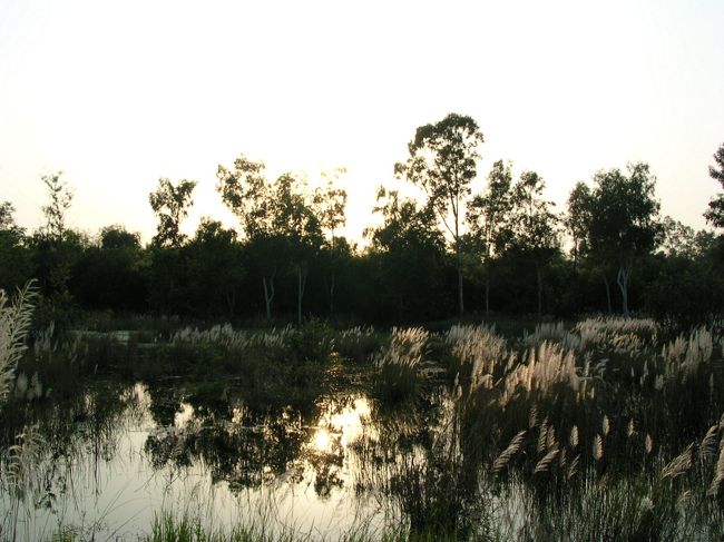 ガイドブックを見ている時は、もっと整備された町って感じのところかと思っていましたが、全然そんなことありませんでした。<br /><br />でも、自然がいっぱいで素敵な所でした☆