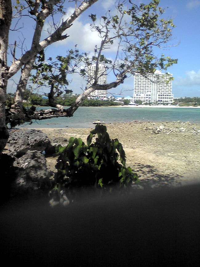 無人島に着き島からオンワードを撮りました　確かに無人島でした。　誰も居ません