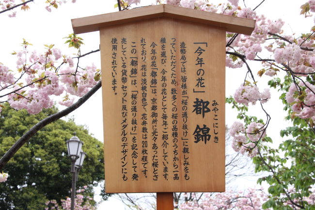 10］造幣局「桜の通り抜け」』大阪城・京橋(大阪)の旅行記