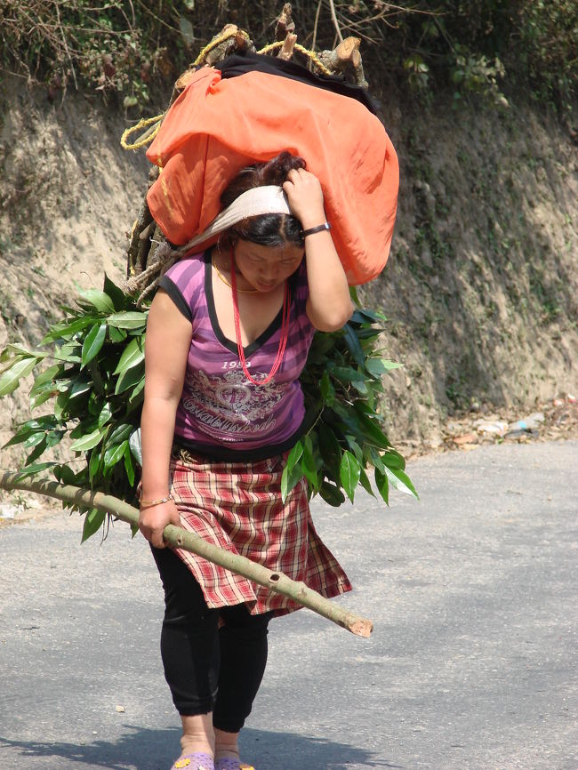 山裾からバスで３０分くらい北へ来たところに峠がありそこで降ろしてもらう。<br />
