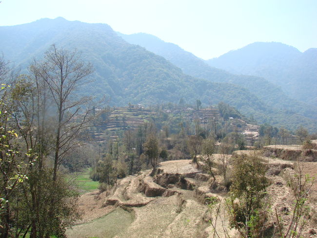 丘の上からの眺め。