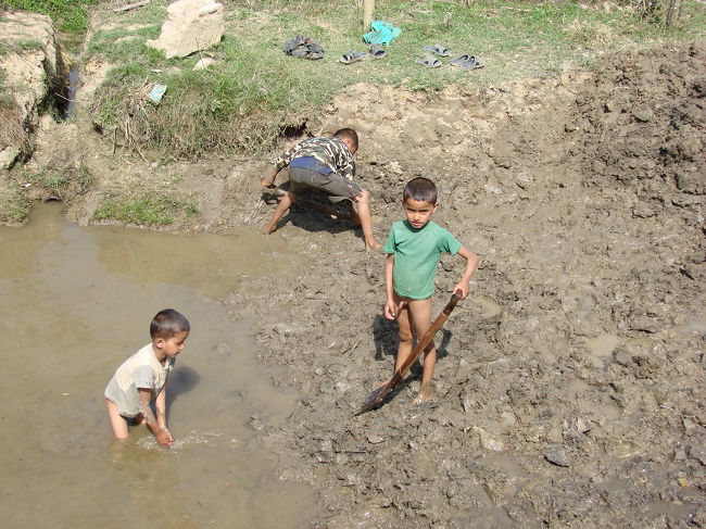 溜池の底をさらっている子供達。