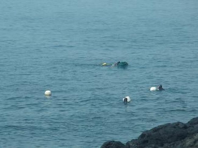 海沿いを走っていると、海女さんが見えました。<br />