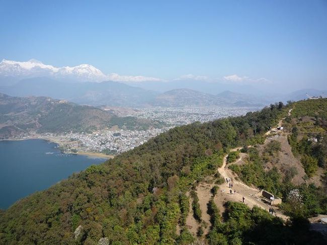 こんな道を登ってきた。