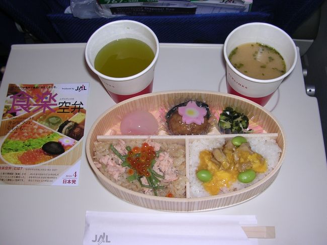 映画もないし、到着後すぐに会議なので、韓国hiteビールを飲むわけにもいかず、食事だけが楽しみです。<br />いまJALの成田〜仁川線は、10日ごとにメニューが変わる「創作“丼”弁当シリーズ」を展開中。<br />搭乗した日は「曙」と呼ばれるイクラとサケがのったチラシ寿司に、親子丼の組み合わせでした。<br />チラシ寿司はともかく、親子丼が冷たいのはちょっと残念。でもちゃんと味噌汁がつくのがうれしいかな。