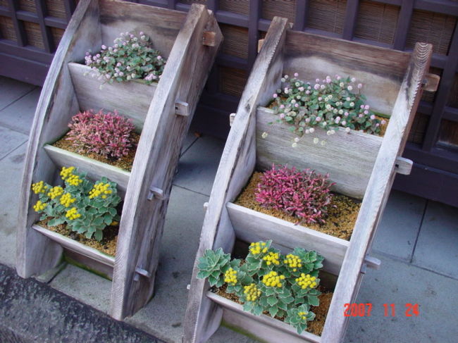 あちこちに花があります。