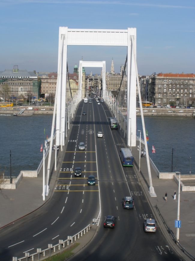 エルジェーベト橋のちょうどまん前を登っていく感じです