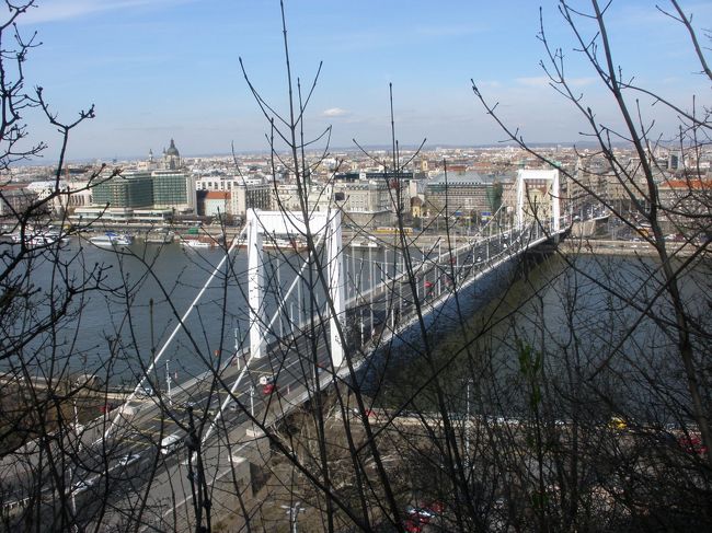 いくつにも上る道は分かれていて、<br /><br />こちらがいちばん川に近くって川を眺めながら上れる<br /><br />でも、辺りは誰もいなくて、ちょっと寂しい山道…<br />（いつもなら、それほど気にならない寂しさ）<br /><br />と一人の観光客らしき男性が後から上ってきている姿が目に入り<br /><br />これなら大丈夫か！と思って、上り続けたのです。