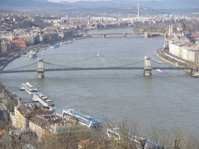 くさり橋をアップ