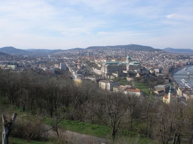 写真を撮りながら、心を落ち着かせようと<br /><br />できるだけいつもと同じにしていたい・・・<br /><br />誰か歩いて下っていく人！いないの〜？