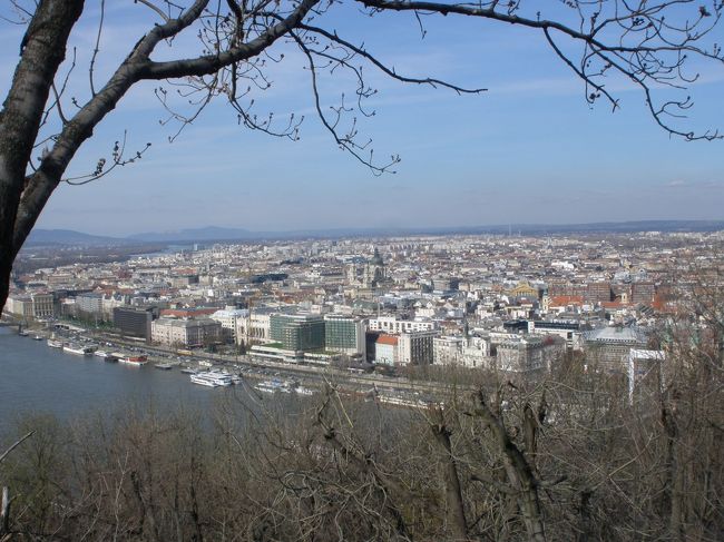 物色中に写した写真って、記憶が薄い！