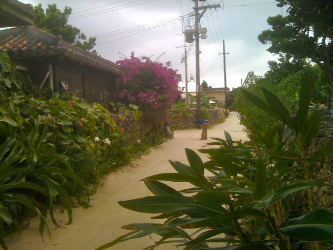 出された麦茶と黒糖で少し休んでからお宿の周りをお散歩します。