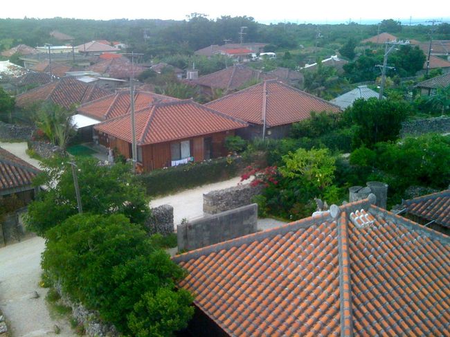 実は高所恐怖症の私は、急な狭い階段を登るのに一苦労。塔の上からへっぴり腰で撮った貴重な写真なのです。友人は全然平気で笑われたけど、、。