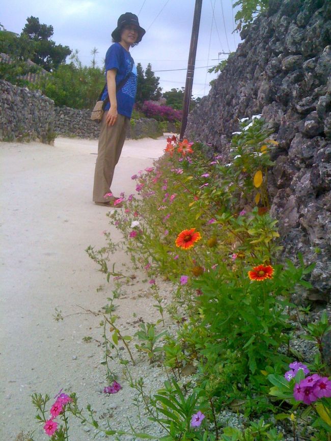 石垣のそばのお花がきれい。名前も知らないけど、なんだかいい感じ。石垣は本当に積み上げただけなんですって。