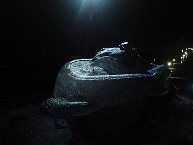 長く歩いて、ようやく亀の形に似ているという溶岩を発見！