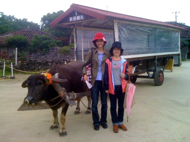 民宿を出てすぐのところに水牛車乗り場があったので、乗ってみました。<br />約３０分間、集落を一周します。運転手はワカちゃん、５歳、メスです。