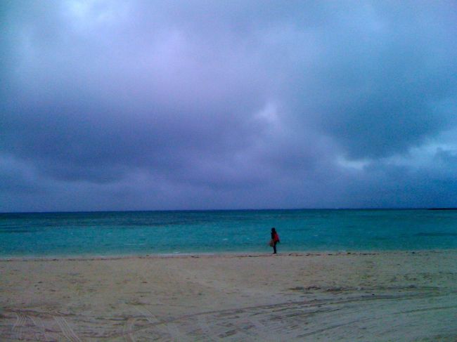 風が強くて吹き飛ばされそう。大きな雲がもくもくと、、、。きのうだったら泳げたでしょうに。お天気ばかりは予約できません。