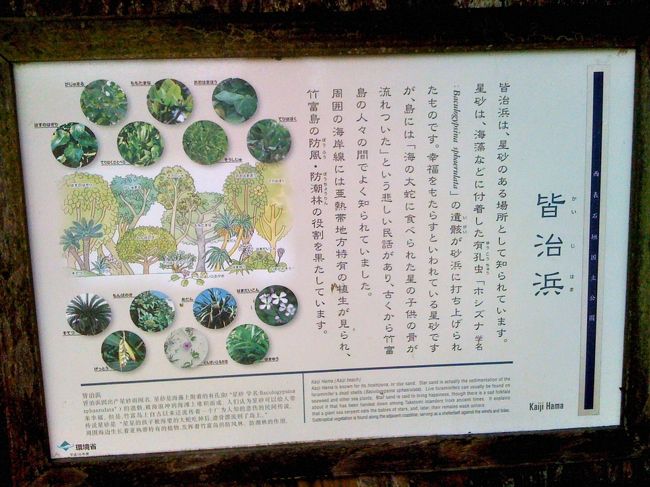 また、おしゃべりしながら、次に着いたのはカイジ浜。