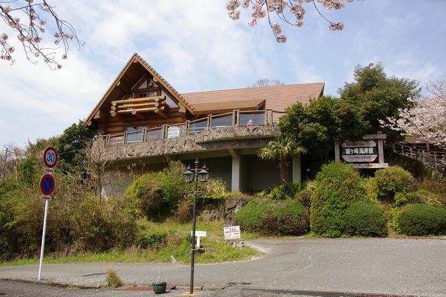 城ヶ崎海岸ピクニカルコース 城ケ崎海岸駅から蓮着寺 の散策 富戸 一碧湖 城ヶ崎 静岡県 の旅行記 ブログ By アルプ グリュムさん フォートラベル 城ヶ崎海岸ピクニカルコース 城ケ崎海岸駅から蓮着寺 の散策 富戸 一碧湖 城ヶ崎 静岡県 の旅行記 ブログ By アルプ グリュムさん フォートラベル