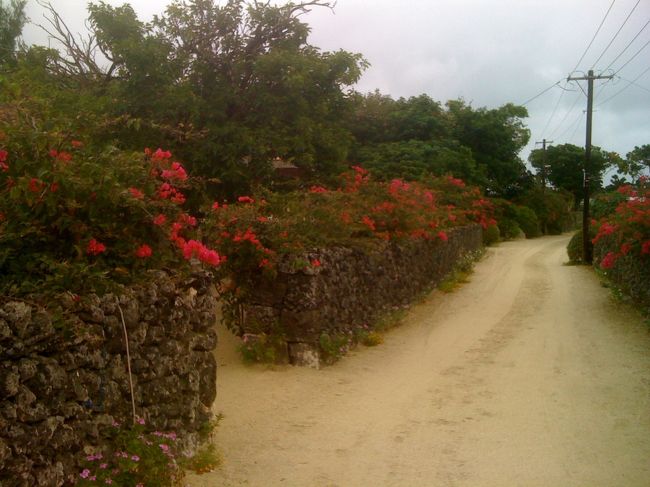 お昼のあともブラブラ歩いて、、、