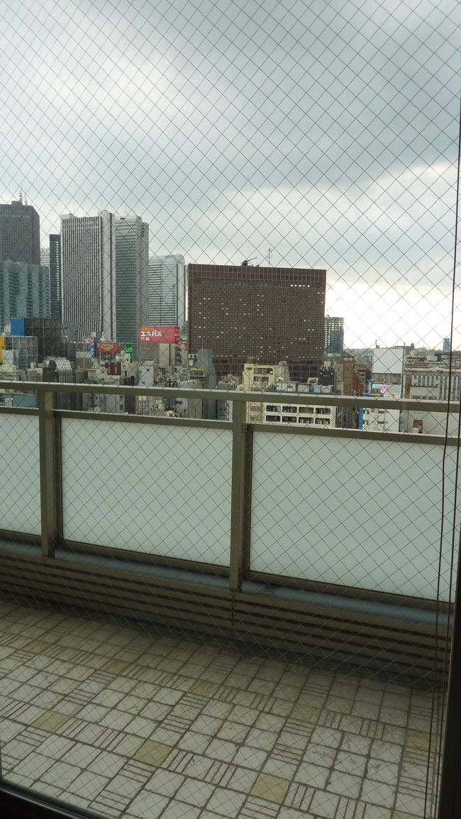 ベストウェスタン新宿アスティナホテル東京宿泊 ２０１０年４月 新宿 東京 の旅行記 ブログ By Masapiさん フォートラベル