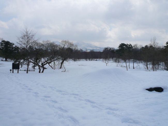 レンゲ沼<br /><br />雪で沼が隠れてしまってました。