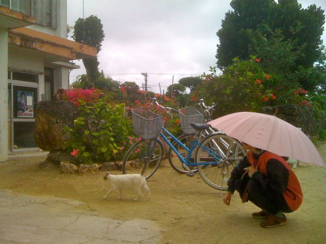 猫と遊んだりしてから、３時半に民宿の方に港まで送ってもらい、３時４５分のフェリーで、あっという間に、また石垣島にもどりました。<br /><br />往復券１１００円を買っていたのに、帰りの券を失してしまい、片道分５８０円また、払う羽目に、、、、。往復券を買ったら、みなさん、失さないように気をつけましょう！<br /><br />その３に続く、、、