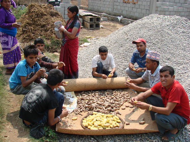 茹でたジャガイモの皮を剥く人たち。