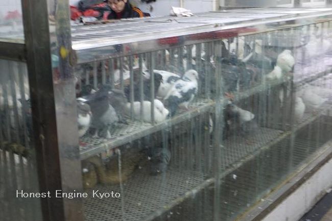 一階には、鶏肉と鮮魚売場があります。<br />これは、食用ハト売場でしょうか？