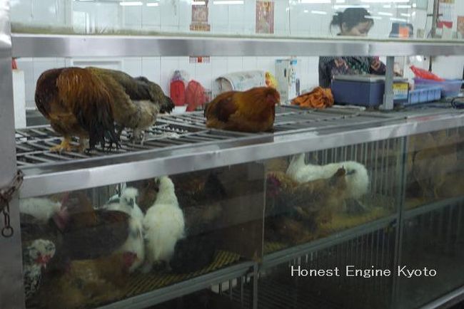 隣には、生きた鶏が売られています。