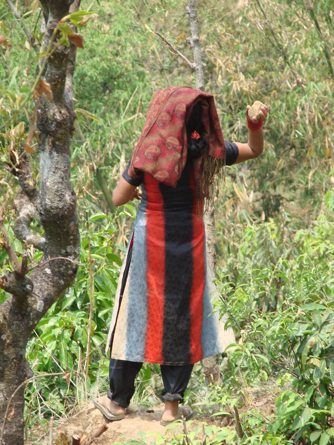 奇声を発しながら猿に向かって石を投げるソッテさん。