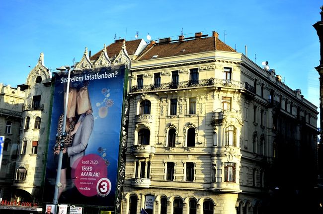 バスも上下に揺れながら走っています。